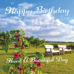 Wonderful Day Birthday Card